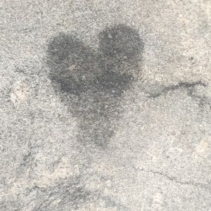 Meet your Posher, Jaclyn